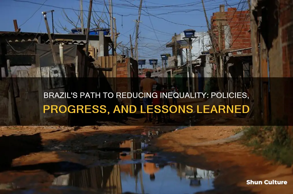 how has brazil reduced inequality