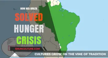 Brazil's Innovative Strategies to Overcome the Hunger Crisis