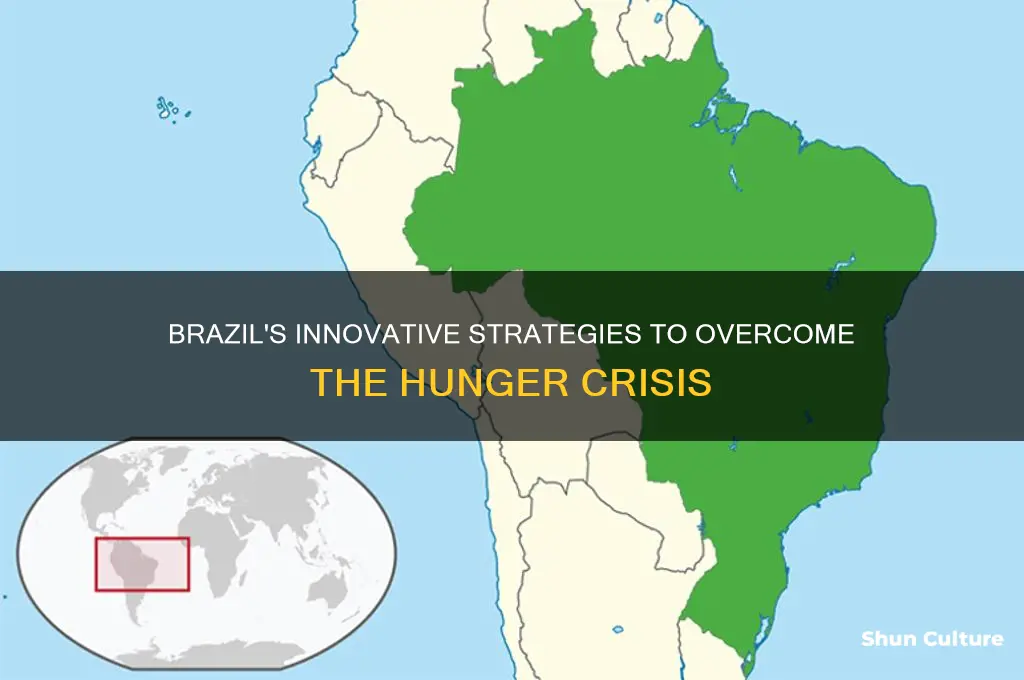 how has brazil solved hunger crisis