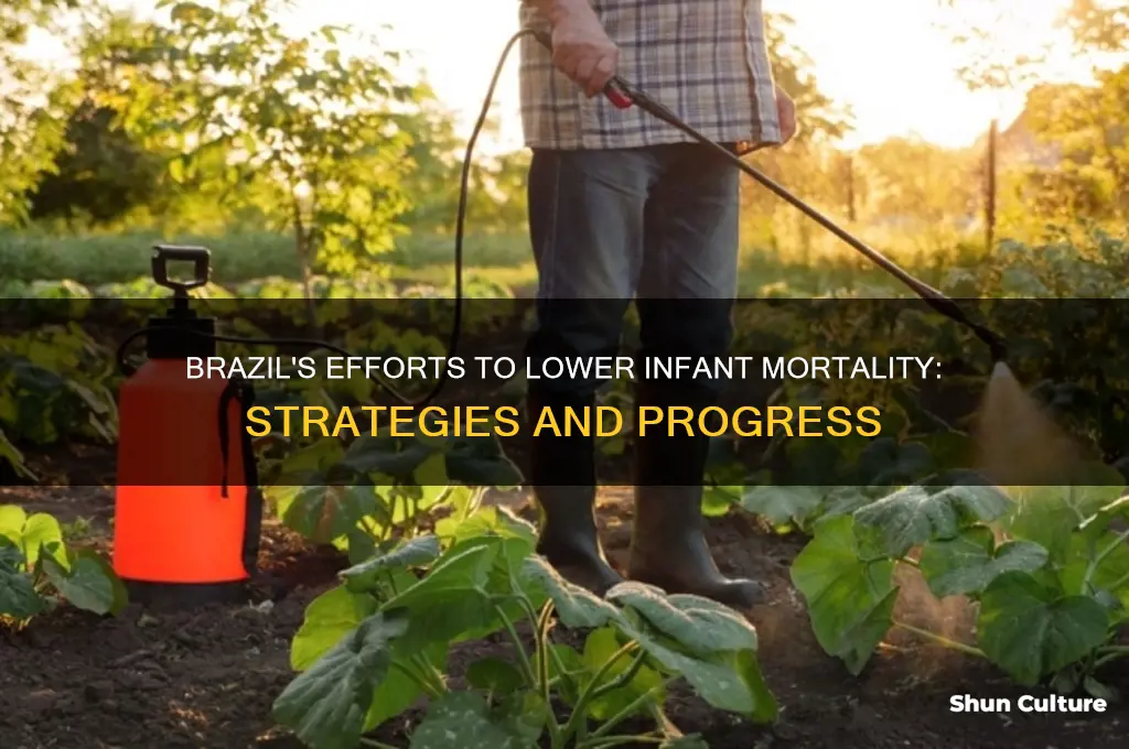 how has brazil try to reduce infant mortality rates