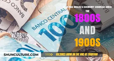 Brazil's Economic Evolution: Transformations from the 1800s to the 1900s