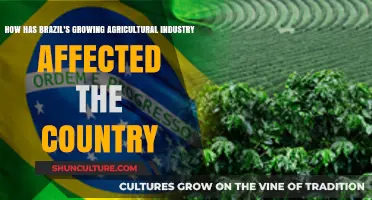 Brazil's Agricultural Boom: Economic Growth, Environmental Impact, and Social Change