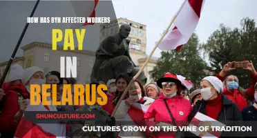 The Impact of BYN on Workers' Pay in Belarus