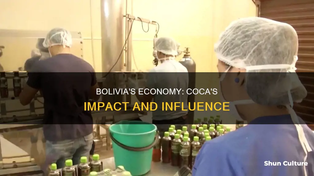 how has coca affect bolivias economy