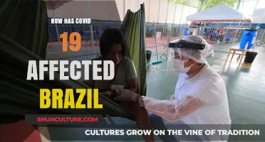 COVID-19's Impact on Brazil: Economy, Health, and Society Transformed