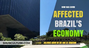 COVID-19's Economic Impact: Brazil's Struggles and Recovery Efforts