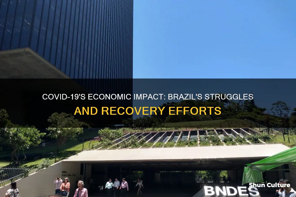 how has covid affected brazil