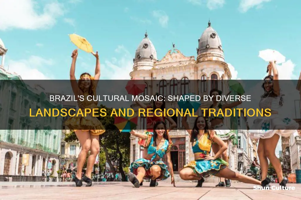 how has geography influenced brazil