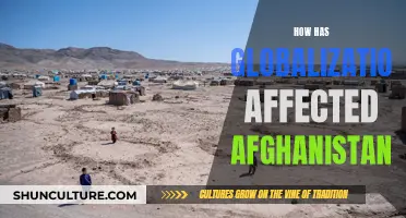 The Globalization Conundrum: Afghanistan's Complex Encounter