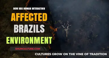 Human Impact on Brazil's Environment: A Complex Relationship