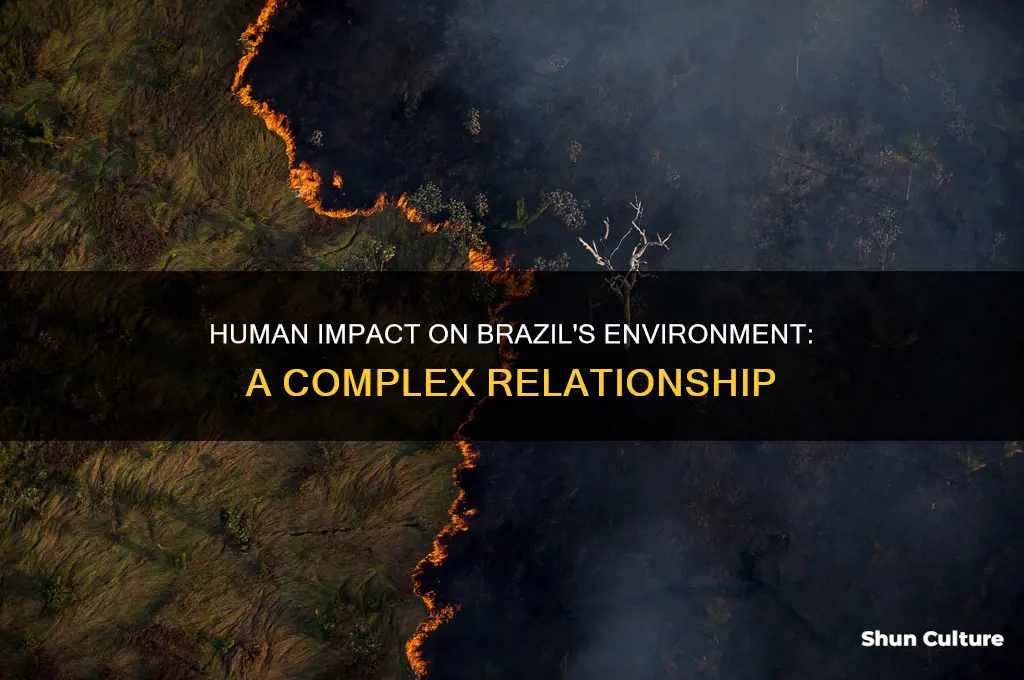 how has human interaction affected brazils environment