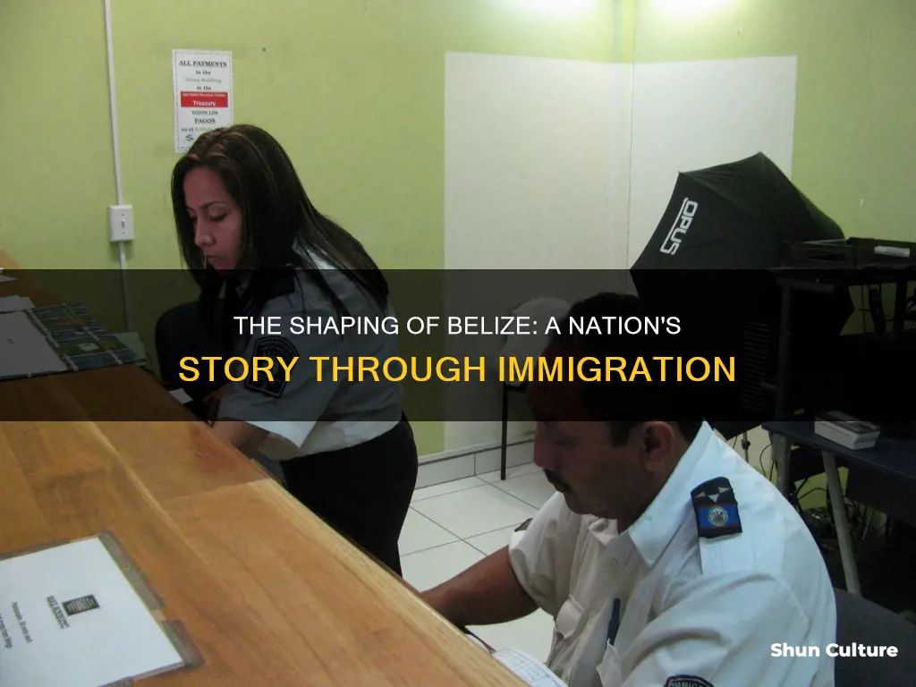 how has immigration impacted belize