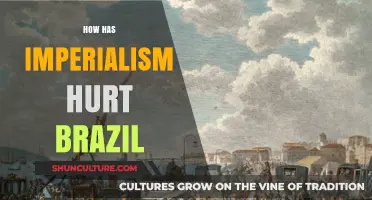 Imperialism's Legacy: Brazil's Struggles with Exploitation and Cultural Erosion