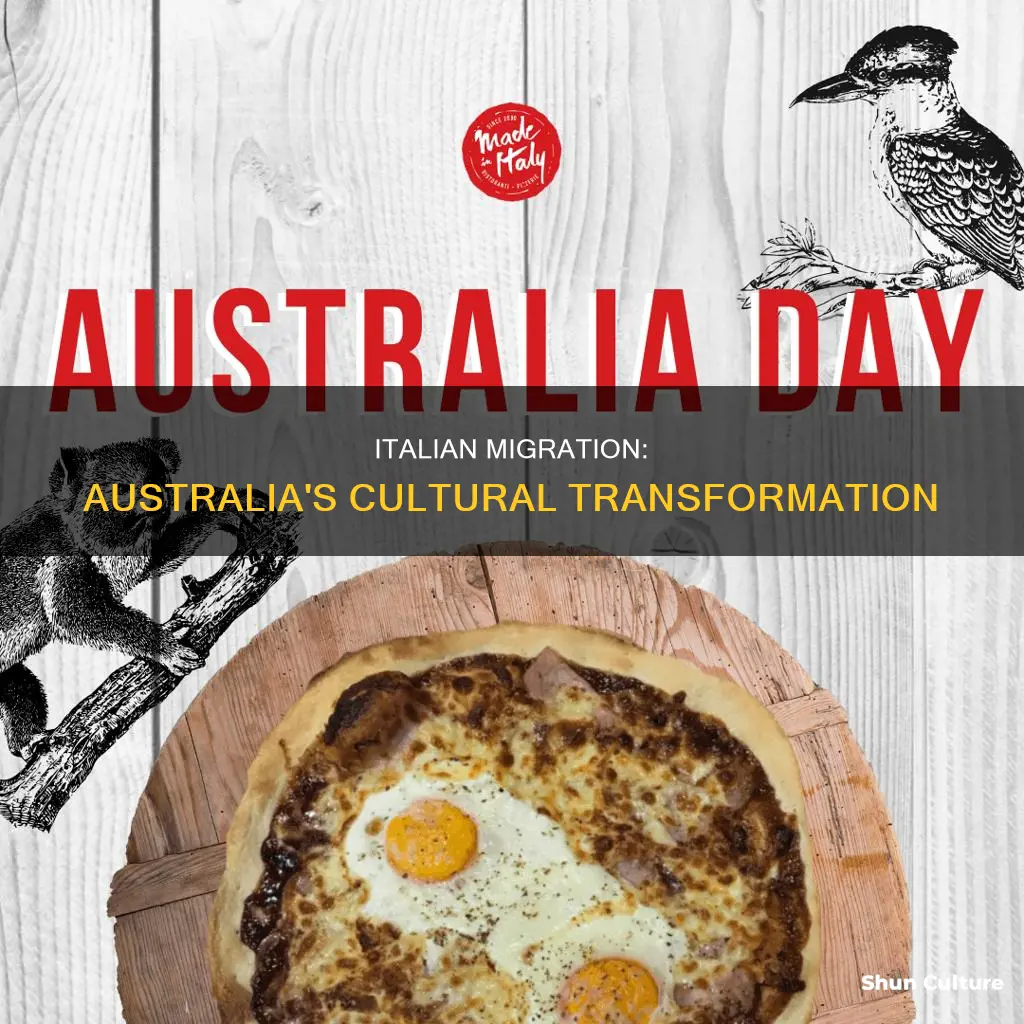 how has italian migration changes australia