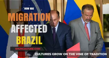 Migration's Impact: Shaping Brazil's Culture, Economy, and Demographics