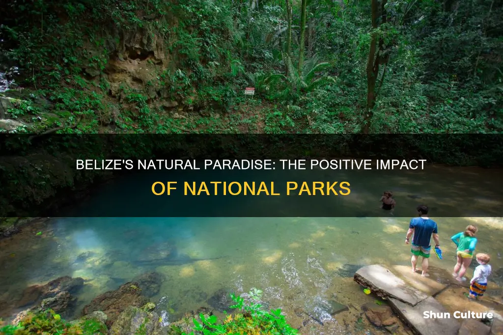 how has national parks positively impacted belize