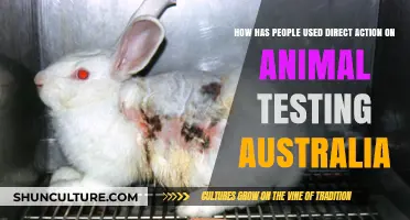 Animal Testing: Australian Activists' Direct Action Strategies