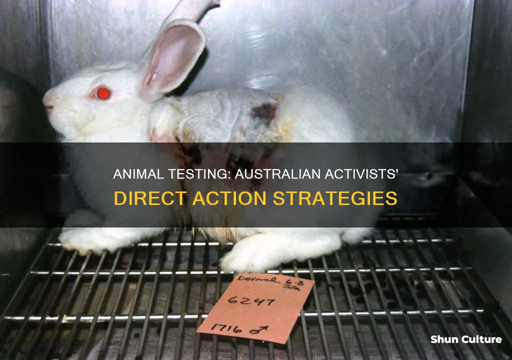 how has people used direct action on animal testing australia