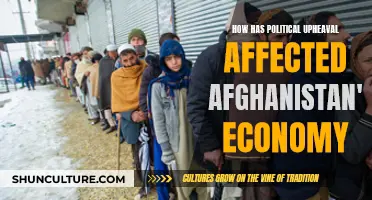 The Fragile State: Afghanistan's Economy in the Wake of Political Upheaval