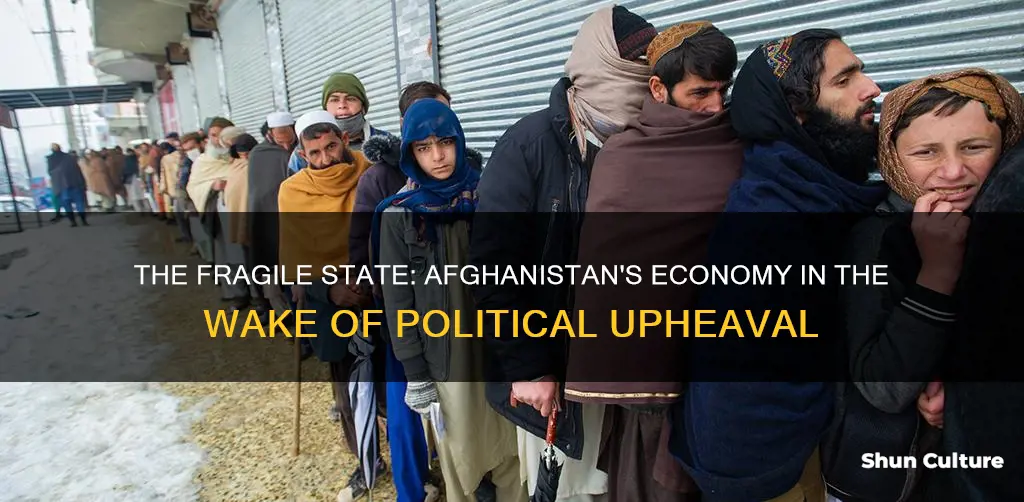 how has political upheaval affected afghanistan