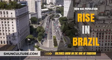 Brazil's Population Boom: Impacts, Challenges, and Future Prospects