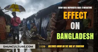 Refugee Crisis in Bangladesh: Challenges, Strain, and Societal Impacts