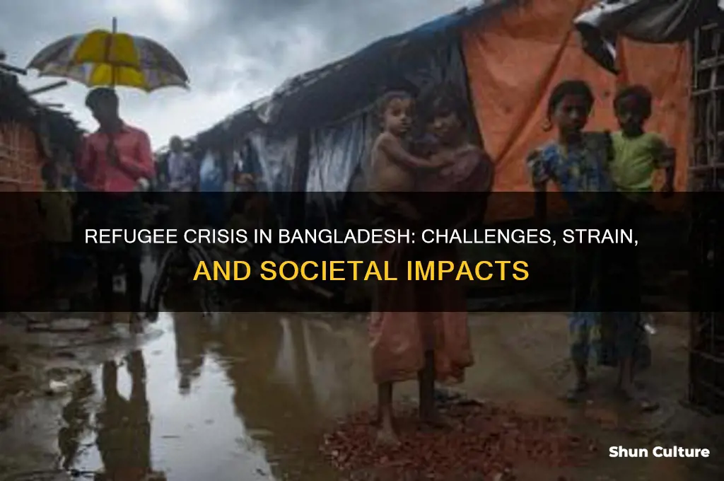 how has refugees had a negative effect on bangladesh