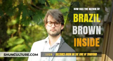 Brazil's Browning: Exploring the Nation's Cultural and Demographic Evolution