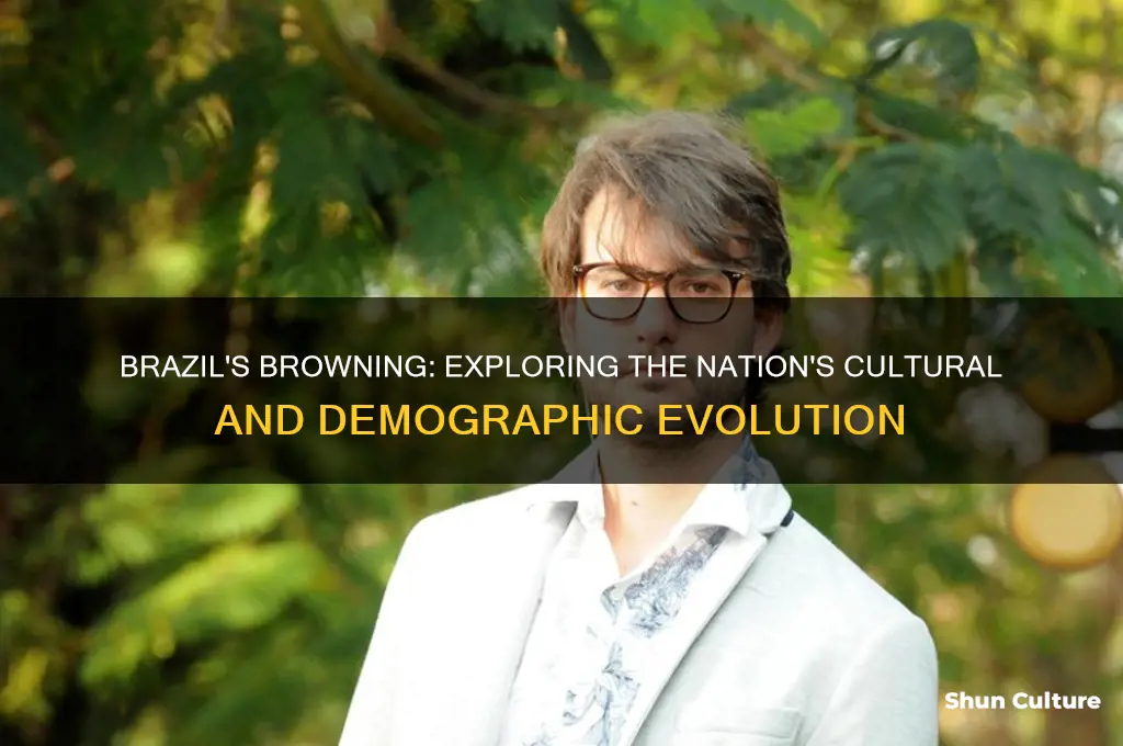 how has the nation of brazil brown inside