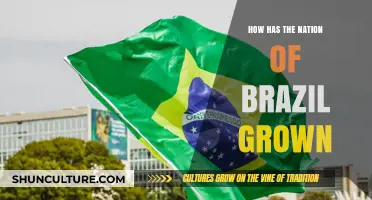 Brazil's Remarkable Growth: A Journey of Economic and Cultural Transformation