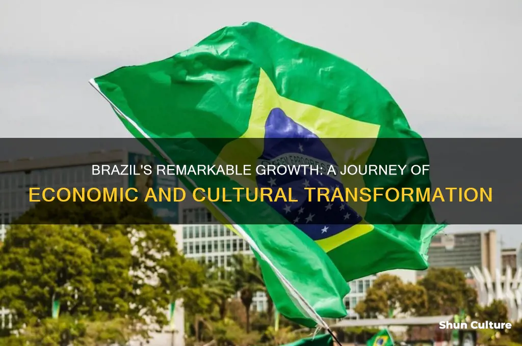 how has the nation of brazil grown