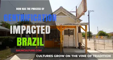 Gentrification in Brazil: Transforming Communities, Displacing Culture, and Shaping Cities