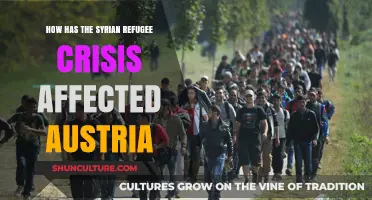 Syrian Refugees: Austria's Humanitarian Challenge and Social Impact