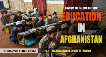 The Darkening Shadow Over Afghanistan's Education System: Understanding the Taliban's Impact