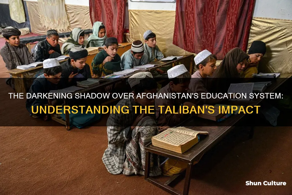 how has the taliban affected education in afghanistan