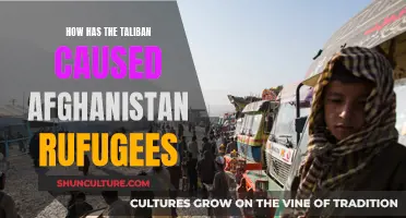 The Exodus: Afghanistan's Plight Under the Taliban Regime