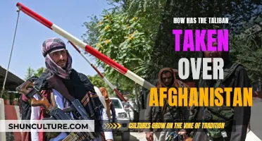 The Taliban's Resurgence: Afghanistan's Fall and the World's Response