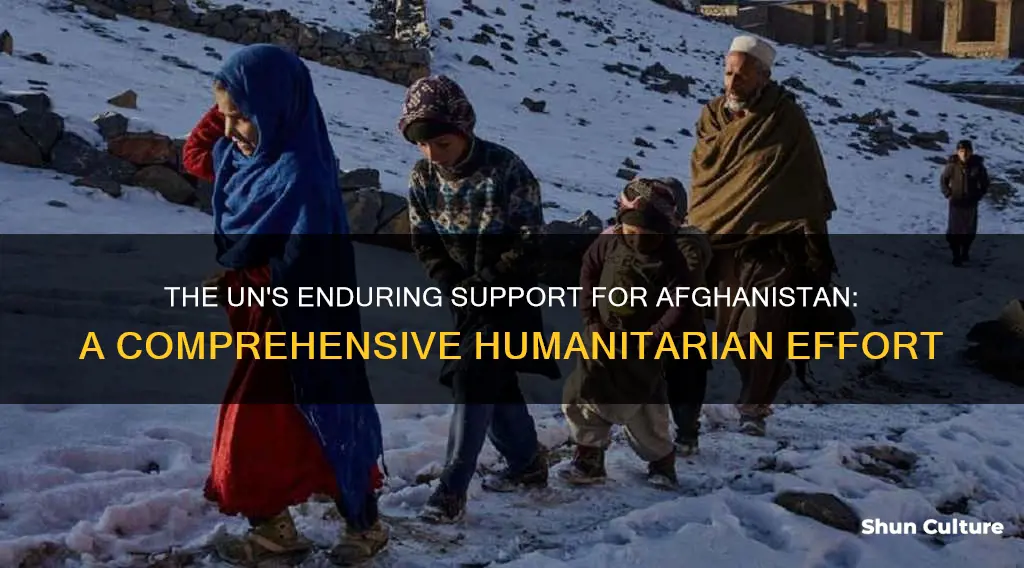 The Un's Enduring Support For Afghanistan: A Comprehensive Humanitarian ...