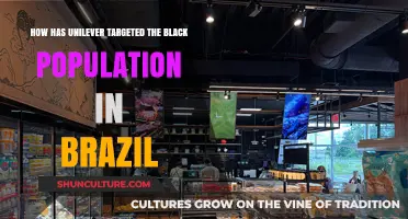 Unilever's Brazil Strategy: Targeting the Black Population for Growth