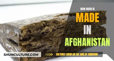 The Art of Hash-Making in Afghanistan: A Centuries-Old Tradition