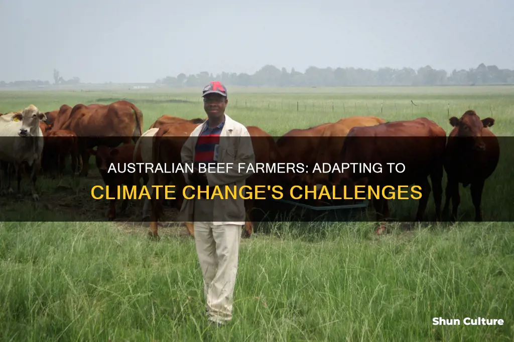 how have australian beef farmers adapted to climate change