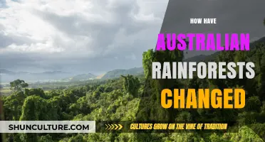 Australian Rainforests: Evolution and Transformation