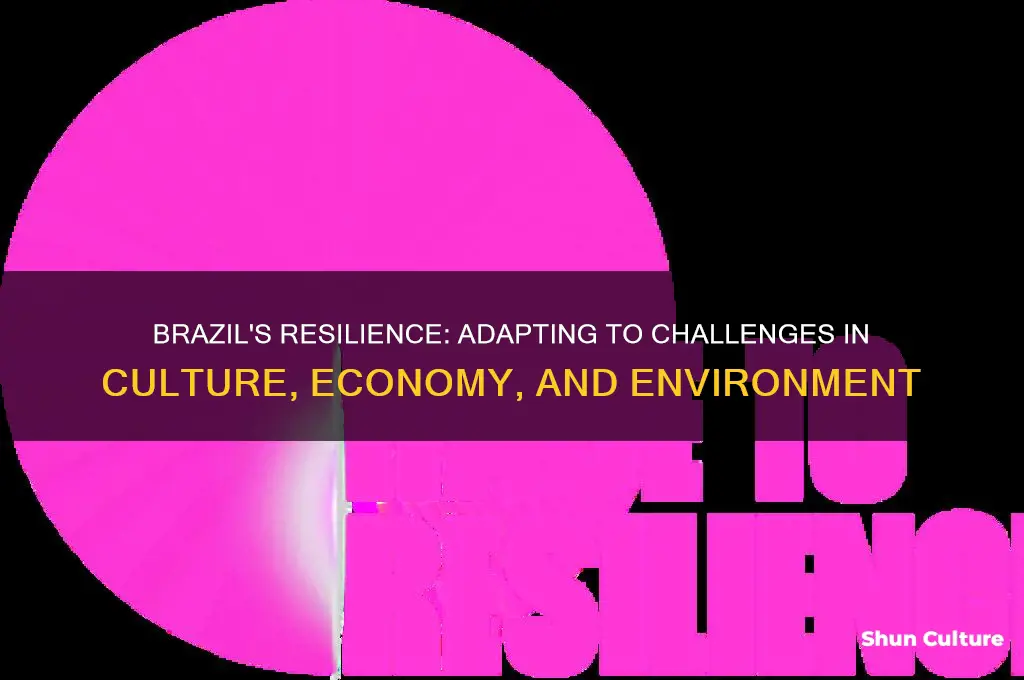 how have brazil adapted