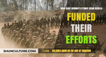 Burma's Ethnic Shan Rebels: Unveiling the Funding Sources