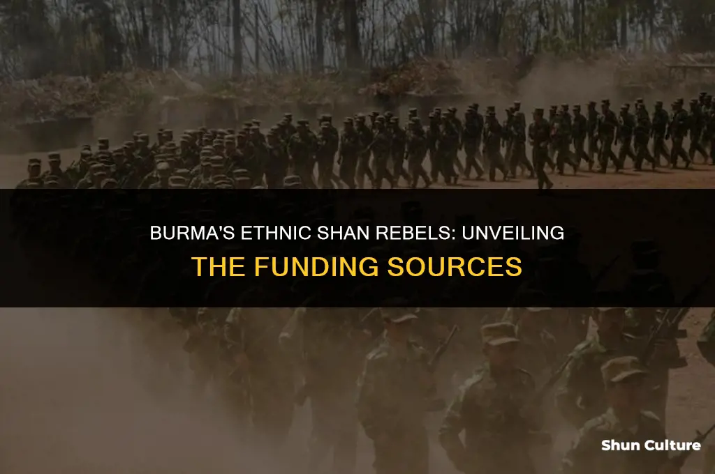 how have burma