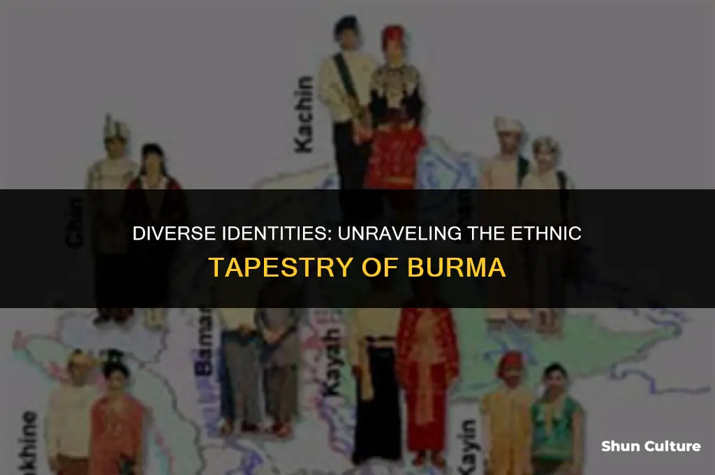 how have burmas ethnic