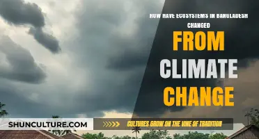 Bangladesh's Ecosystems in Crisis: Climate Change Impacts and Adaptations