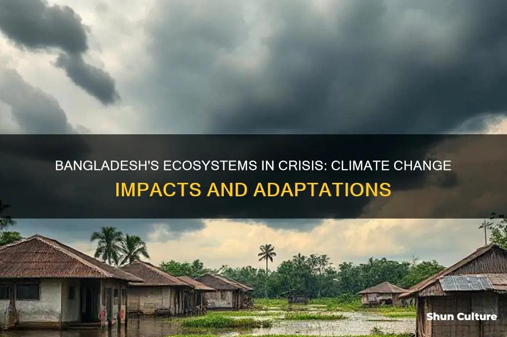 how have ecosystems in bangladesh changed from climate change