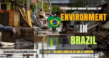 Human Impact on Brazil's Environment: Changes, Challenges, and Consequences