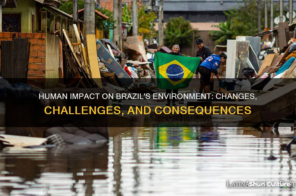 how have humans changed the environment in brazil